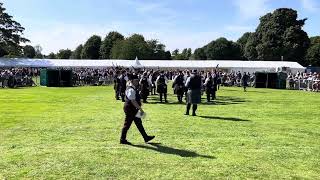 European Pipe Band Championships 2024  Grade 2 Medley  Portlethen and District [upl. by Fachan]