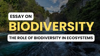 BiodiversityThe Role of Biodiversity in Ecosystems  Essay [upl. by Arual]