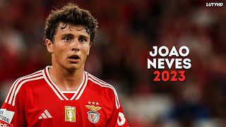 João Neves 2023  Amazing Skills Goals amp Assists  HD [upl. by Eimaraj]