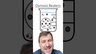 Osmosis Beaker Quiz [upl. by Rillings]