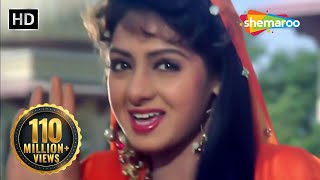 Mere Dil Ki Galiyon HD  Banjaran Songs  Rishi Kapoor  Sridevi  Alka Yagnik  Suresh Wadkar [upl. by Elaweda]