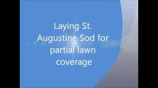 Laying St Augustine Sod for partial lawn coverage [upl. by Linder]