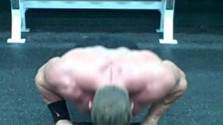 Block Pushups elevated alternating plyometric BODYWEIGHT 290LBS [upl. by Hennessey702]