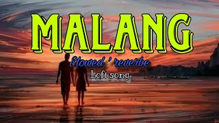 Malang lofi version hindi Bollywood song [upl. by Mahtal]