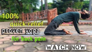 10 minute yoga for back pain  कमर दर्द के लिए योगा  yog vidhya [upl. by Dwyer]