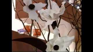 Silvina Buquete  Bienvenidas TV  Magnolias en Goma Eva [upl. by Yggep]