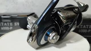 2022 Daiwa Certate SW 6000P Power Gear [upl. by Nylarak]