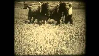 Landwirtschaft gestern Ackerbau in der Schweiz um 1936 [upl. by Phenica788]