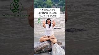 Detoxification Mudras  3 Mudras to eliminate toxins from the body shorts yogashakti [upl. by Xila187]