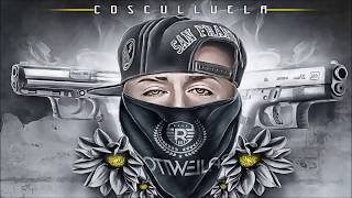 Cosculluela  La Nueve y La Fory Audio Oficial [upl. by Leary]