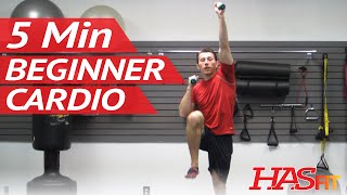 5 Minute Easy Workout  Low Impact Cardio Exercises for Beginners  Low Impact Cardio Workout [upl. by Sane937]