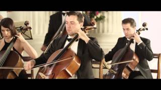 Vivaldi The Four Seasons Summer LEstate 3rd movement [upl. by Bocoj]