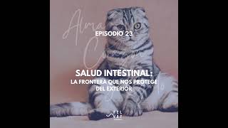 EPISODIO 23 Salud Intestinal como frontera que nos protege del exterior [upl. by Hammad]