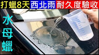 汽車打蠟8天後【西北雨耐久度驗收】白同學汽車蠟測試 [upl. by Dione]