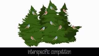 Species Interactions [upl. by Stanislas]