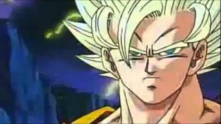 DBZ AMVGoku Warrior Disturbed [upl. by Ahsael]