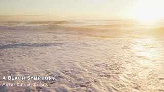 A Beach Symphony  Mararikulam Kerala [upl. by Nepets]