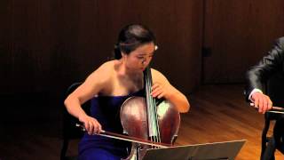 Tomaso AlbinoniAdagio for 12cellos [upl. by Alakim]