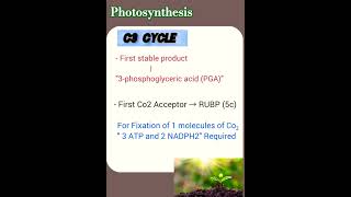 C3 Cycle  photosynthesis [upl. by Hedaza]