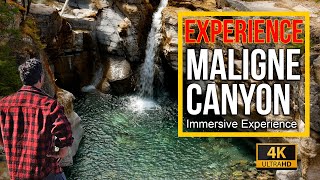 Maligne Canyon Jasper National Park  Immersive [upl. by Yanej]