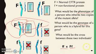 Inherited Disorders  Autosomal dominant vs recessive [upl. by Kcirederf]