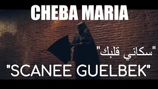 Cheba Maria  Scanee Guelbek EXCLUSIVE Music Video  الشابة ماريا  سكاني قلبك حصرياً [upl. by Leryt]