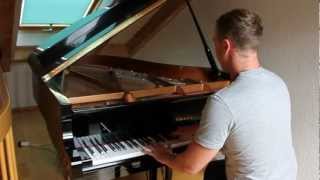 Evanescence  My Immortal Benedikt Waldheuer Piano Cover [upl. by Kellene404]