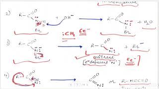 L2 Amines OC BSc II Sem 4 [upl. by Orville]