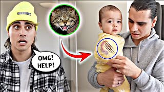 Dobre Brothers  HELP Our Baby Was Attacked By A Cat  Lucas and Marcus [upl. by Folberth]