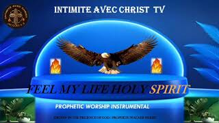 INSTUMENTAL PROPHETIC WORSHIP SONGS WITH THE HOLY SPIRIT [upl. by Niroc482]