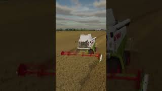 YULAF HASADI YAPIYORUM automobile farming farmingsimolator farmingsimulater farmingsimulator [upl. by Dlarej]