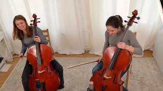 Vivaldi Concerto for Two Cellos  III Allegro [upl. by Lyndel784]