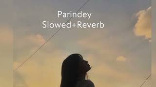 Parindey  LoFi Song  slowed and reverb  B praak [upl. by Eidderf669]