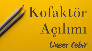 Lineer Cebir ❖ Kofaktör Açılımı ile Determinant Bulma ❖ [upl. by Kcitrap]