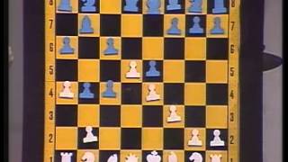 Schach der Großmeister 1984 [upl. by Atiekan]