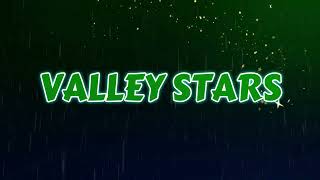 4K 2024 Premier Ball Hockey League A Div Playoffs Goals amp Saves Valley Stars ballhockey hockey [upl. by Aralomo]