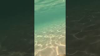 Sardinien schnorcheln nature Forte Village Sardinia Snorkeling EuropaItalien Go Pro [upl. by Artied]