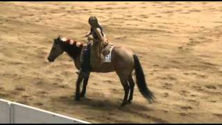 Bridleless Freestyle Reining [upl. by Frech]