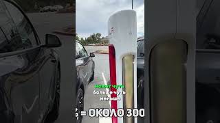 Tesla Model Y Зарядка TeslaModelY Tesla Электрокар АвтоОбзор РеальнаяЭксплуатация Кроссовер [upl. by Anyehs]