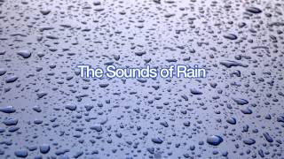 The Sounds of Windy Rain for Sleep 60 Minutes [upl. by Chelsey]