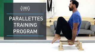 Parallettes Workout Routine amp Training Program [upl. by Macswan601]