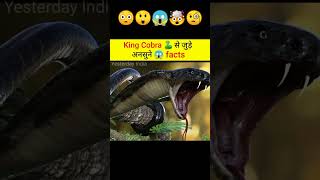 😳king cobra🐍से जुड़े अनसुने 😱 facts  shorts viral youtubeshorts [upl. by Bradleigh393]