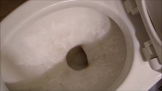 How to Clean Hard Water Stains from a Toilet Bowl [upl. by Colwen]