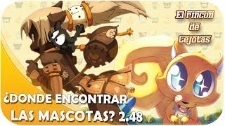 DOFUS ¿Donde encontrar las mascotas  ¡Mascotas Gratis 248 [upl. by Ahtael]