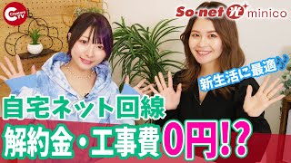 【Sonet 光 minico】安くて快適なおすすめ光回線を紹介！契約期間なしで解約金不要【えっちゃんmotomi】 [upl. by Hgielsel]