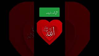 Jashne aamd e Rasool Allah hi Allah duet reciter quran ytshorts [upl. by Savick]