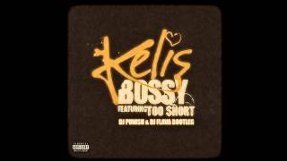 Kelis  Bossy Dj Punish amp Dj Flava Bootleg Free download in description [upl. by Hasseman28]