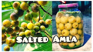 Salted Gooseberry Recipe Nellikka UppilittathuAmla [upl. by Bergwall]