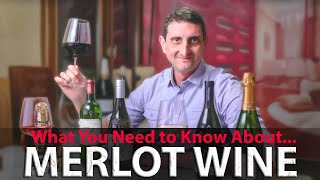 Merlot Your Essential Guide from French Merlot to the California Meritage Blend [upl. by Ardnuhsor744]