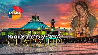 Mañanitas a la virgen de Guadalupe 2023 [upl. by Otrepur]